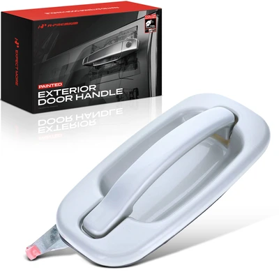 Rear Passenger Exterior Door Handle