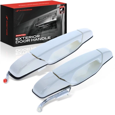 2 Pcs Rear Painted GAZ Olympic White Door Handle