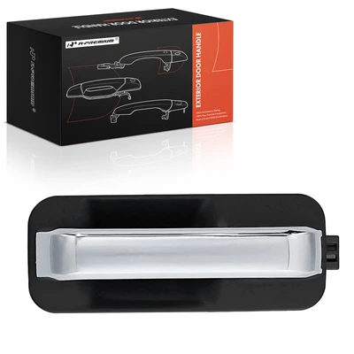 Rear Driver Chrome & Black Exterior Door Handle