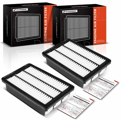 2 Pcs Engine Air Filter with Rigid Panel