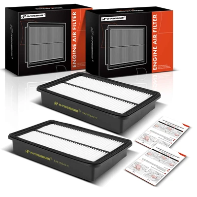 2 Pcs Engine Air Filter with Rigid Panel
