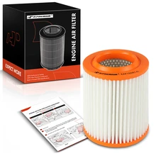 Engine Air Filter with Flexible Panel