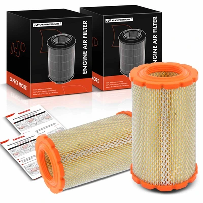 2 Pcs Engine Air Filter