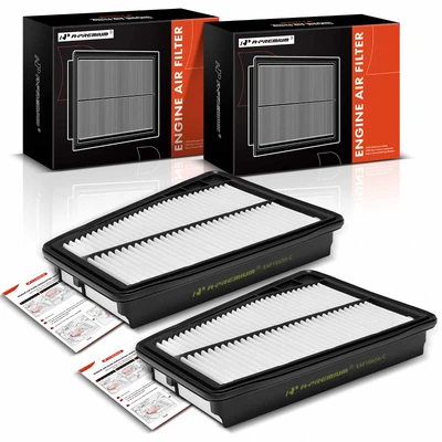 2 Pcs Engine Air Filter with Rigid Panel