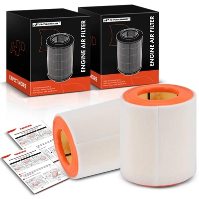 2 Pcs Engine Air Filter