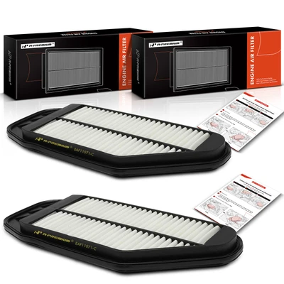 2 Pcs Engine Air Filter