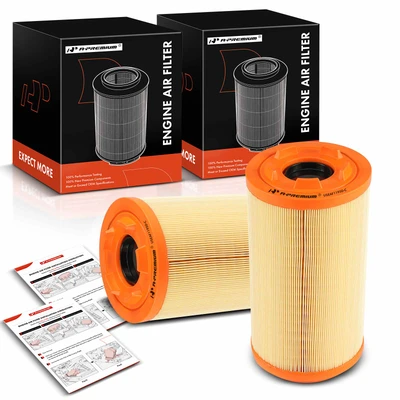 2 Pcs Engine Air Filter