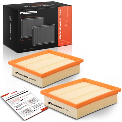 Set of 2 Engine Air Filter