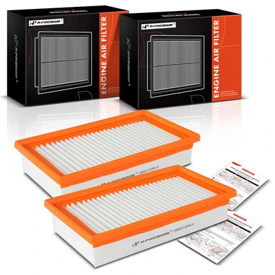 2 Pcs Engine Air Filter