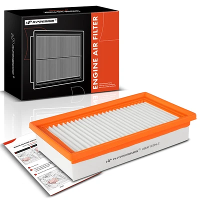 Engine Air Filter with Flexible Panel