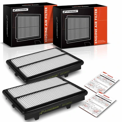 2 Pcs Engine Air Filter with Rigid Panel