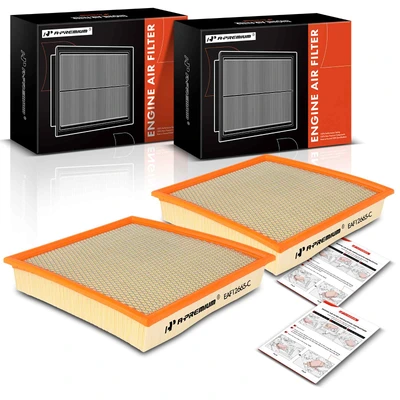 2 Pcs Engine Air Filter