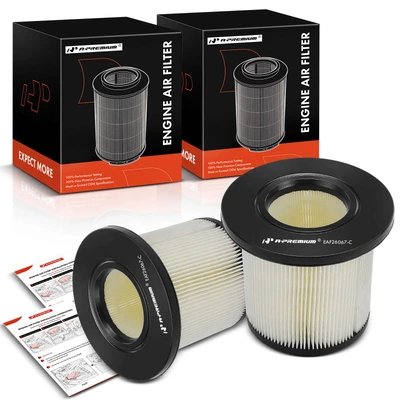 2 Pcs Engine Air Filter