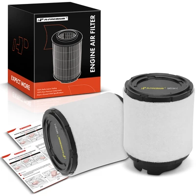 2 Pcs Engine Air Filter