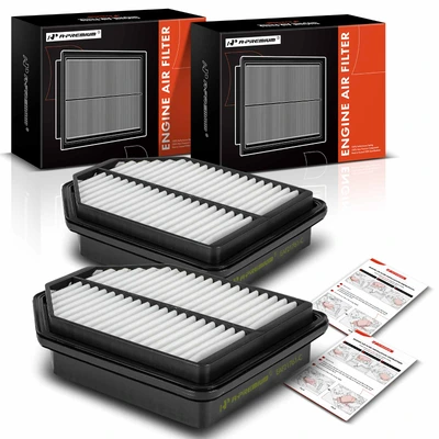 2 Pcs Engine Air Filter