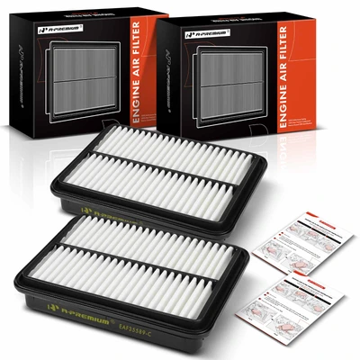 2 Pcs Engine Air Filter