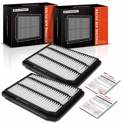 2 Pcs Engine Air Filter