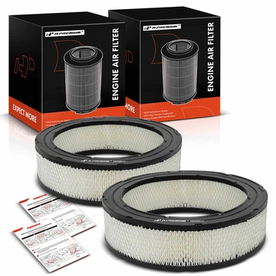 2 Pcs Engine Air Filter