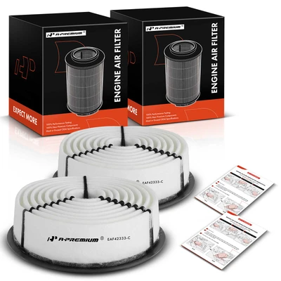 2 Pcs Engine Air Filter