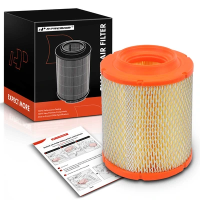 Engine Air Filter
