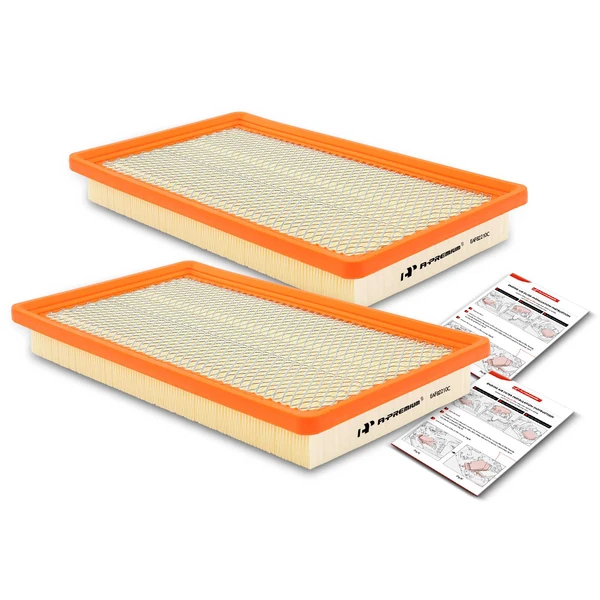 2 Pcs Engine Air Filter for Chevrolet Classic Malibu Olds Alero Cutlass Pontiac