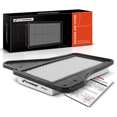 Engine Air Filter with Filter Panel