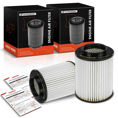 2 Pcs Engine Air Filter