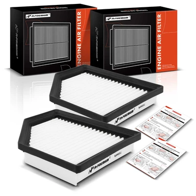 2 Pcs Engine Air Filter