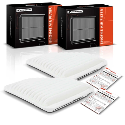 2 Pcs Engine Air Filter