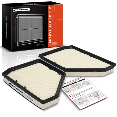 2 Pcs Engine Air Filter
