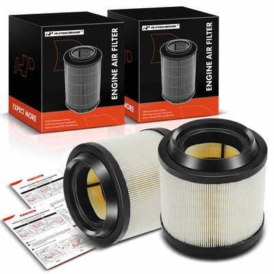 2 Pcs Engine Air Filter