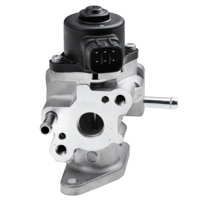 Exhaust Gas Recirculation (EGR) Valve