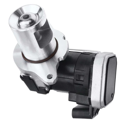 Exhaust Gas Recirculation (EGR) Valve