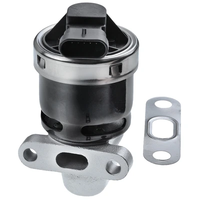 Exhaust Gas Recirculation (EGR) Valve