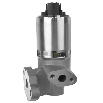 Exhaust Gas Recirculation (EGR) Valve