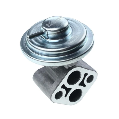 Exhaust Gas Recirculation (EGR) Valve