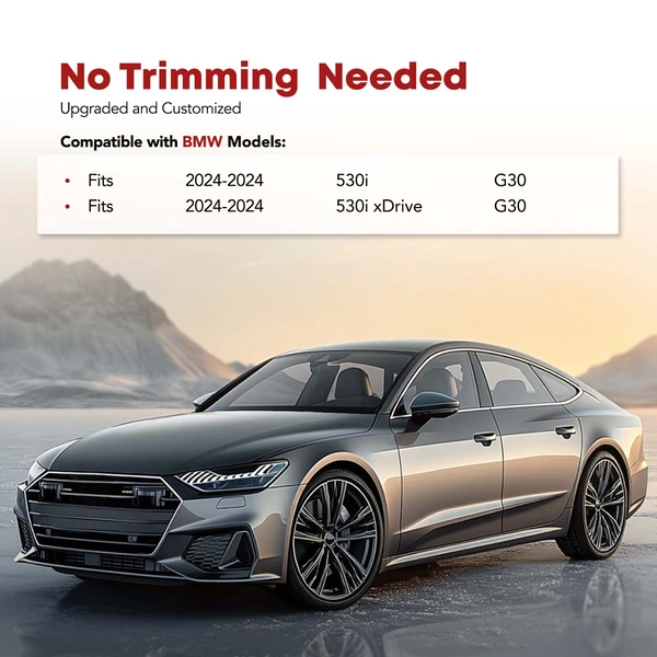 3 Pcs Front & Rear Black Floor Mats Liners for BMW 530i 530i xDrive 2024 G30 Injection