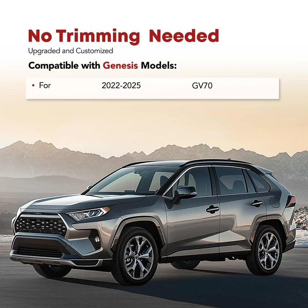 3 Pcs Front & Rear Black Floor Mats Liners for 2022-2025 Genesis GV70