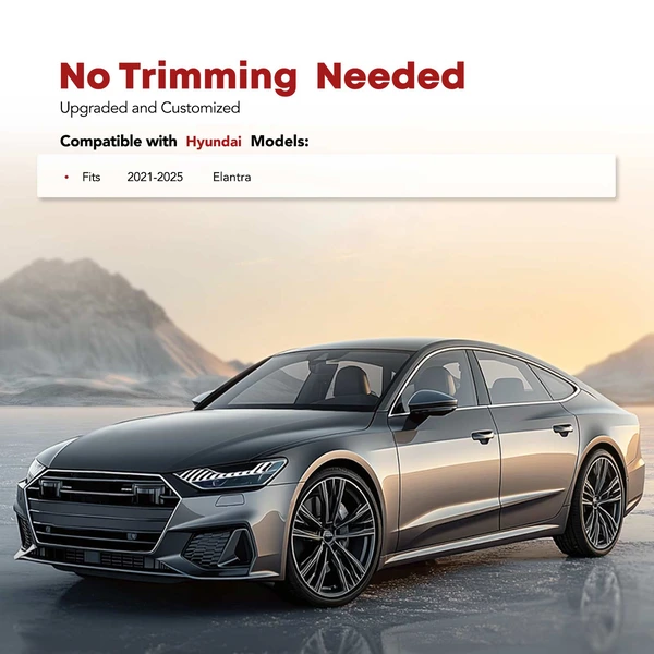 2 Pcs Front Black Floor Mats Liners for Hyundai Elantra 2021-2024