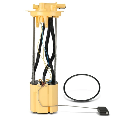 Rear Fuel Pump Assembly