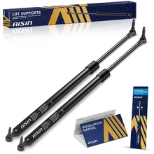 AISIN 2 Pcs Rear Tailgate Lift Support Strut for 2001-2007 Chrysler Town & Country