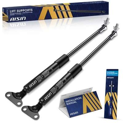 AISIN GAST-01143 2 Pcs Rear Tailgate Lift Support Strut