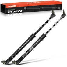2 Pcs Front Hood Lift Supports Shock Struts for 2000-2003 Nissan Maxima