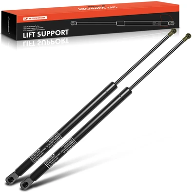 2 Pcs Rear Tailgate Lift Supports Shock Struts