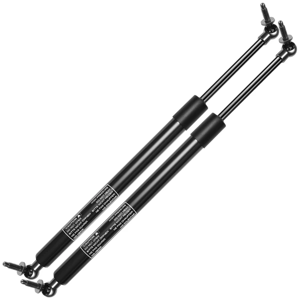 2 Pcs Rear Tailgate Lift Supports for 2001-2007 Chrysler Town & Country