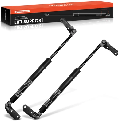 2 Pcs Rear Tailgate Lift Supports Shock Struts