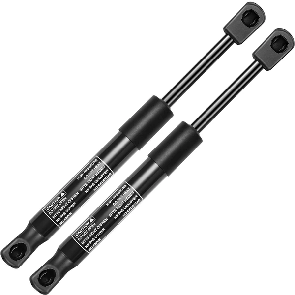 2 Pcs Rear Trunk Lift Supports Shock Struts for Dodge Challenger 2008-2021
