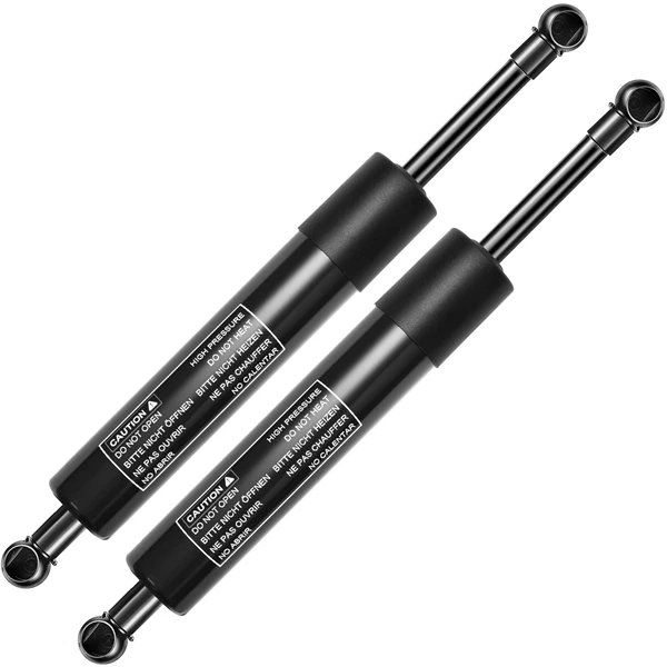 2 Pcs Rear Tailgate Lift Supports Shock Struts for 2009-2010 Chrysler Sebring
