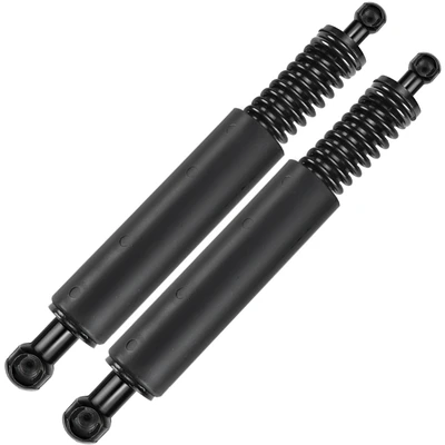 2 Pcs Rear Tailgate Lift Supports Shock Struts for 2004-2005 Volkswagen Touareg