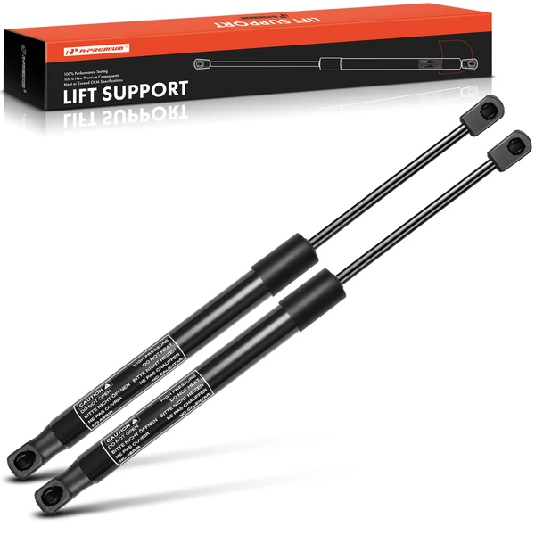 2 Pcs Rear Hatch Lift Supports Shock Struts for 2018-2022 Nissan LEAF